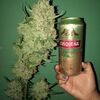 Portela, Фасовка: 3+3, изображение 5